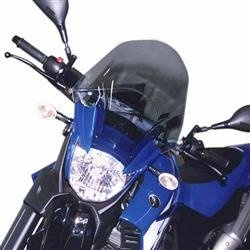 GIVI D433S SZYBA DYMIONA 37 x 36,5 cm (H x W) YAMAHA XT 660 R (04 > 16)